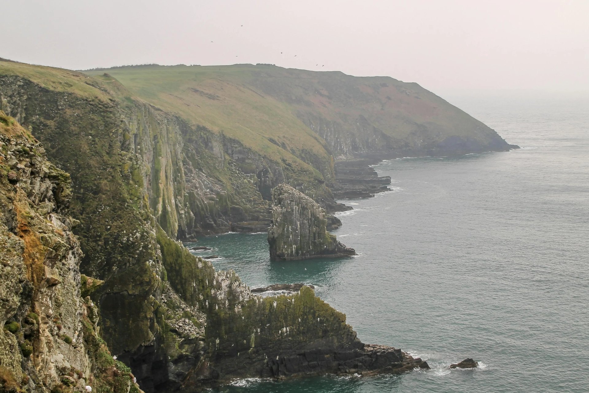 Senderos de Old Head