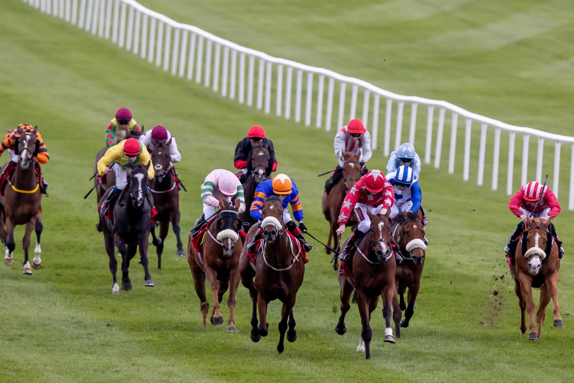 Punchestown Racecourse