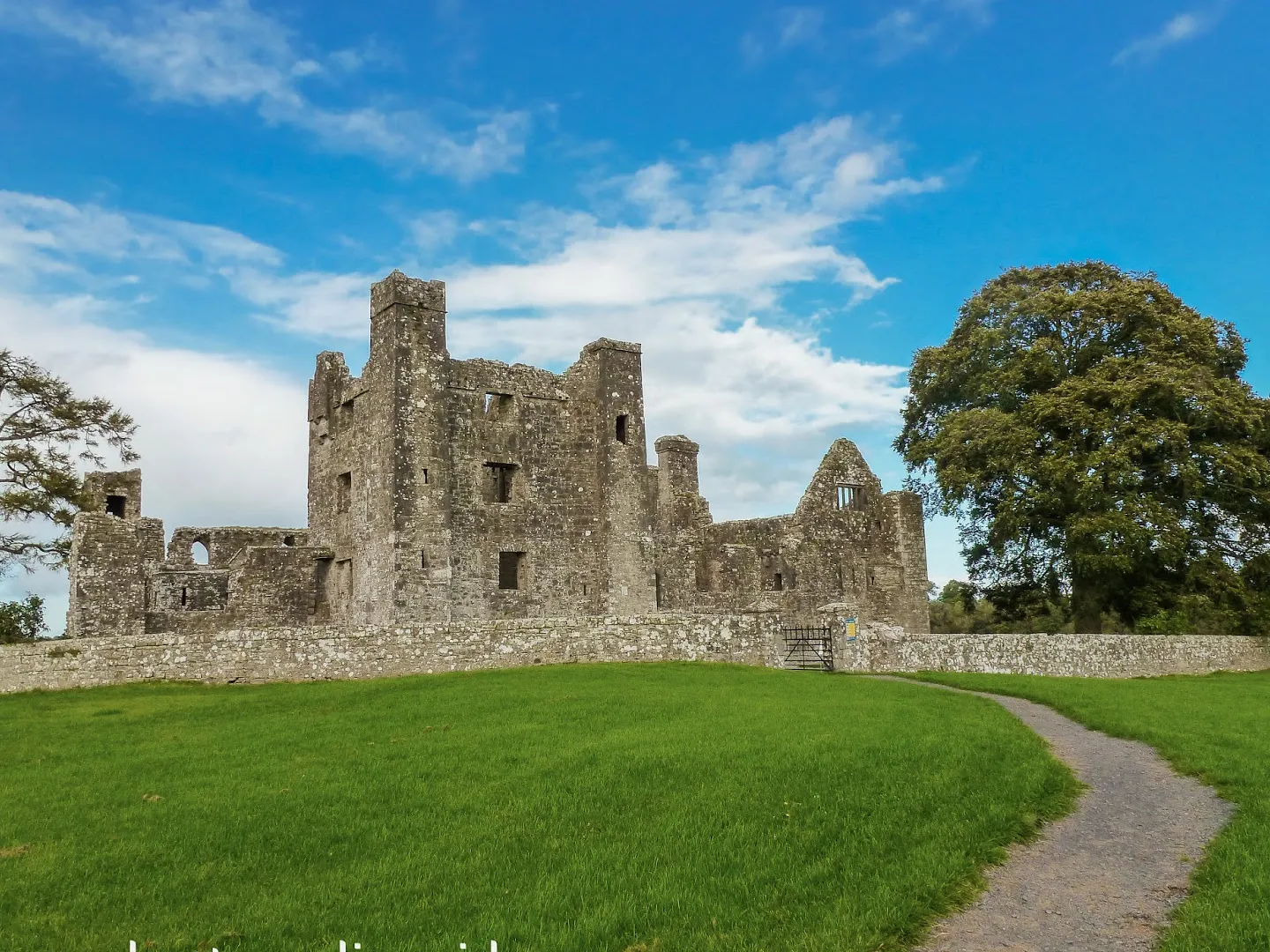 Bective Abbey