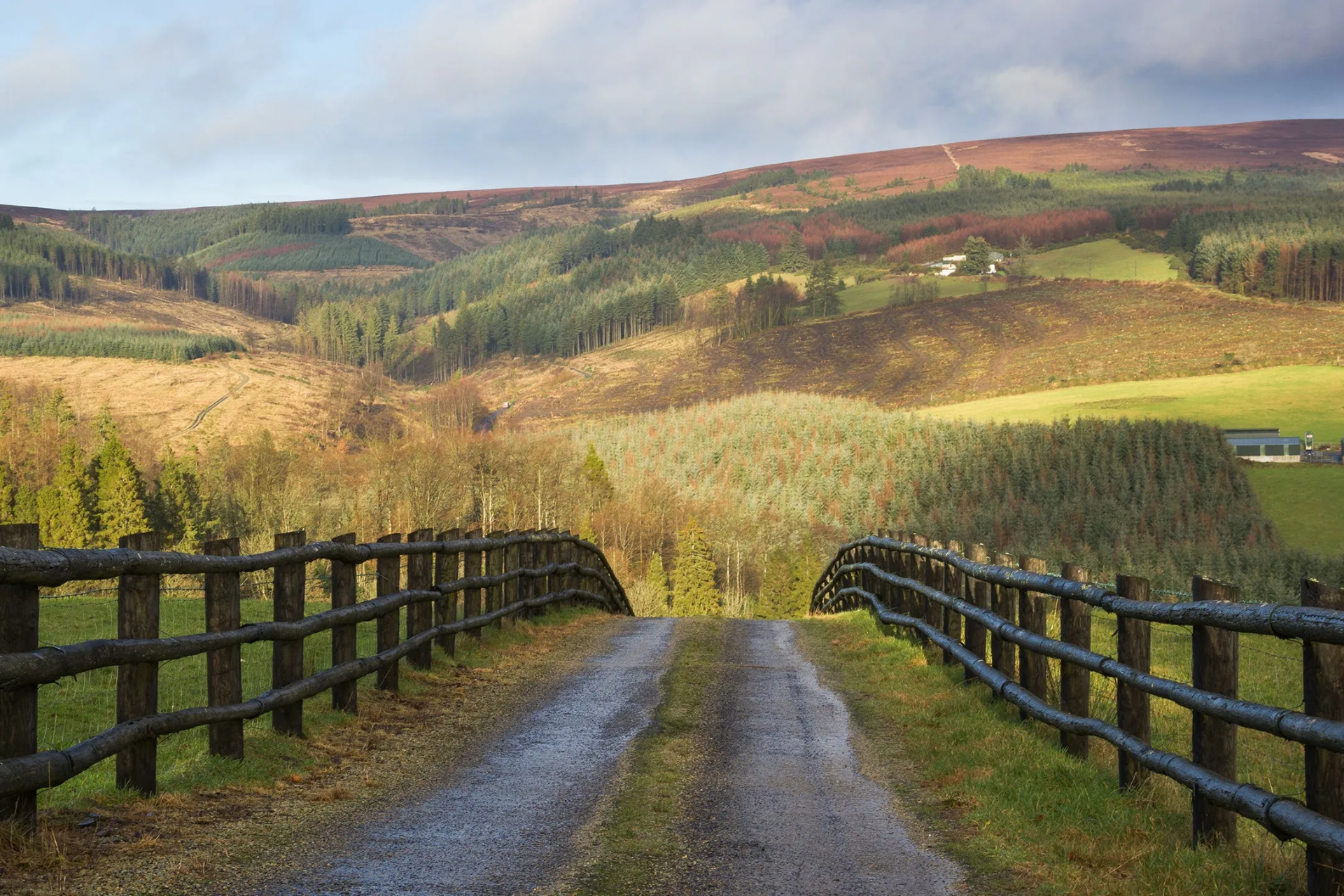 Slieve Bloom Mountains