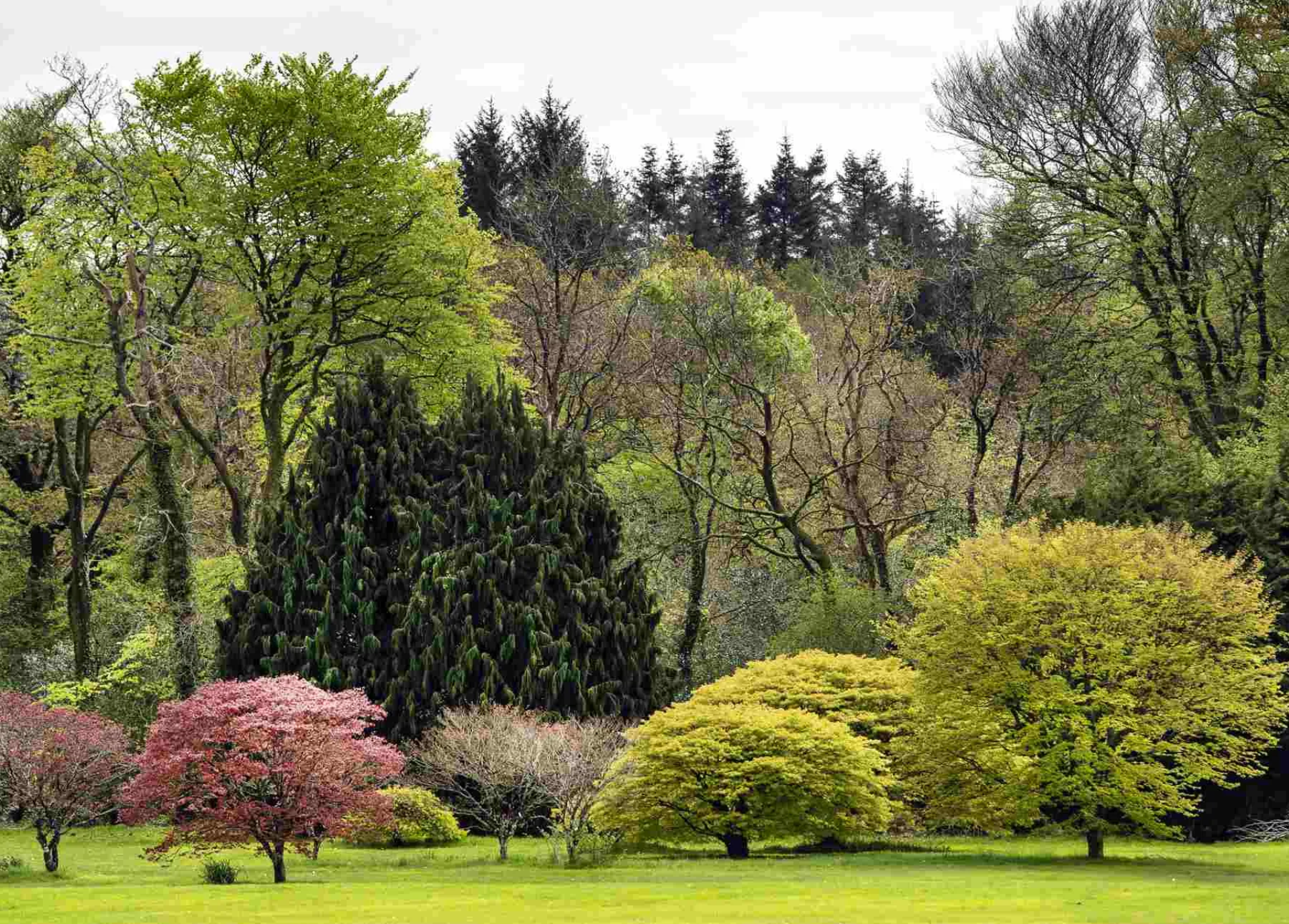 John F. Kennedy Arboretum