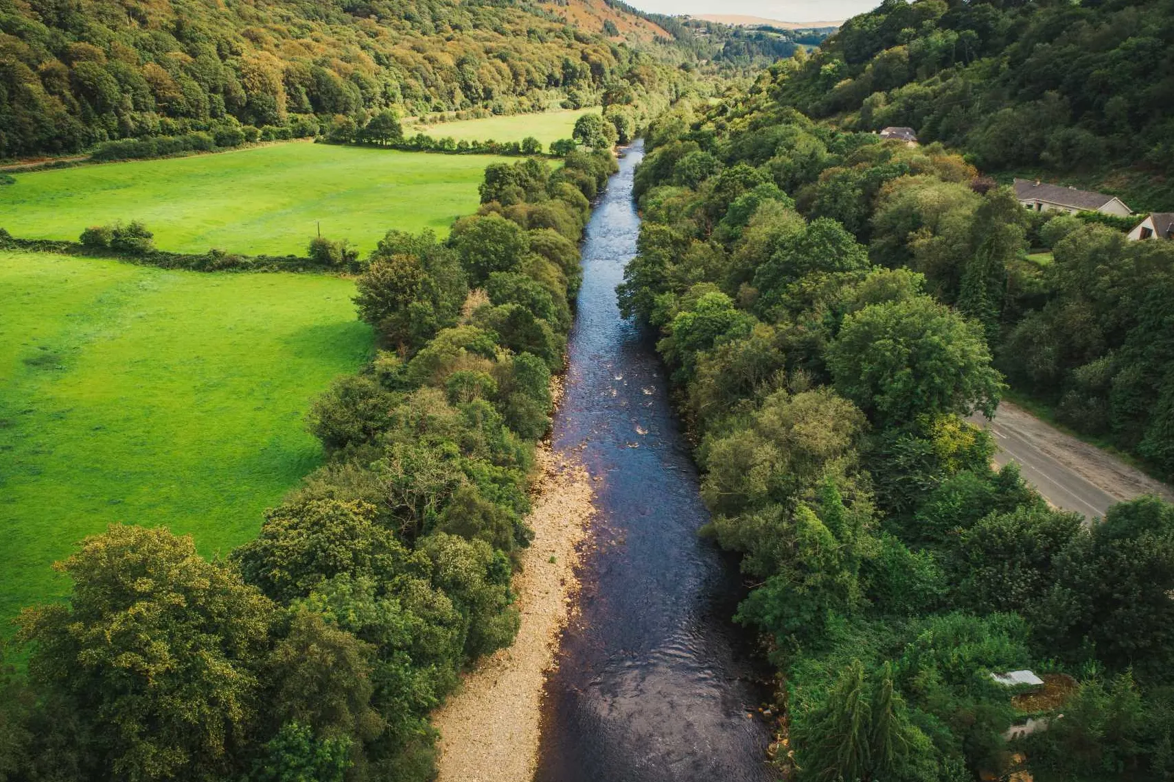 Avoca River