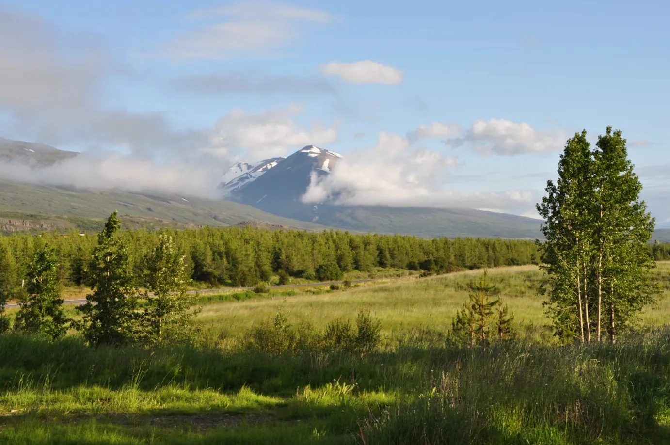 Bosque de Hallormsstaður