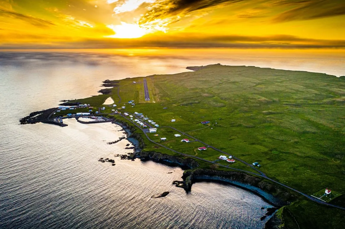 Bird Watching in Grímsey