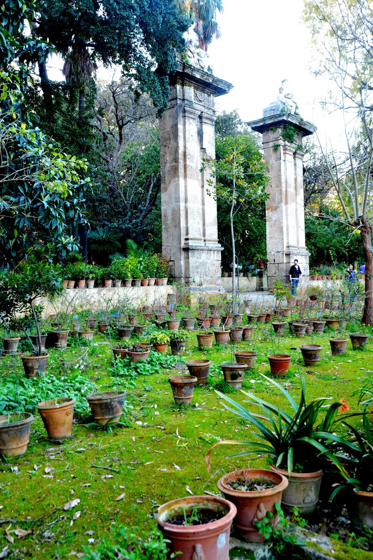 Jardines Botánicos de Palermo