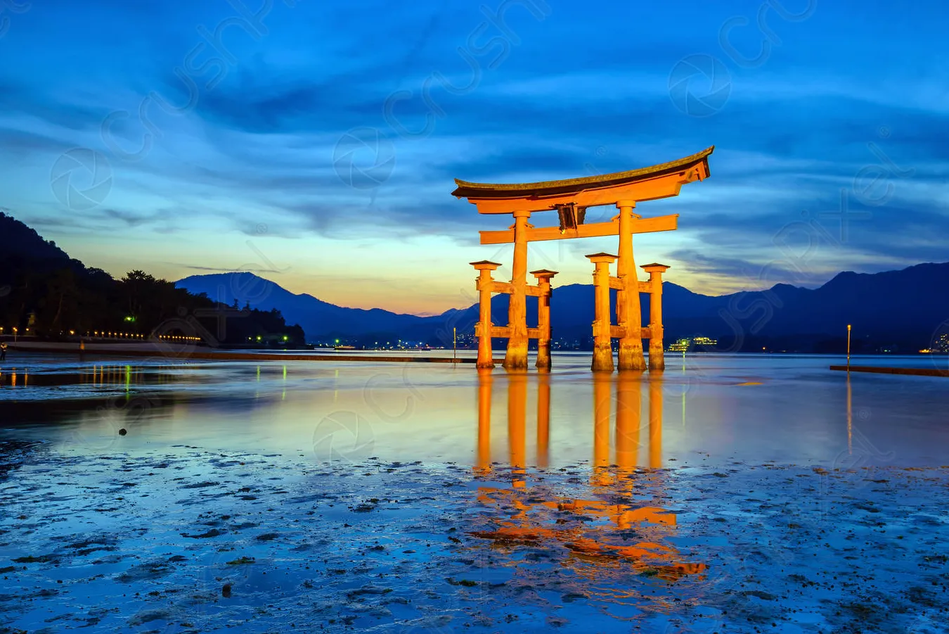 Puerta Torii Flotante