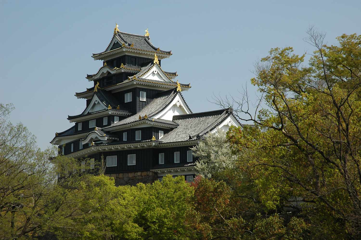Castillo de Okayama