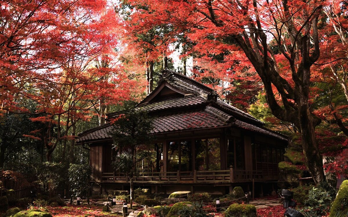 Audioguía de Kashihara