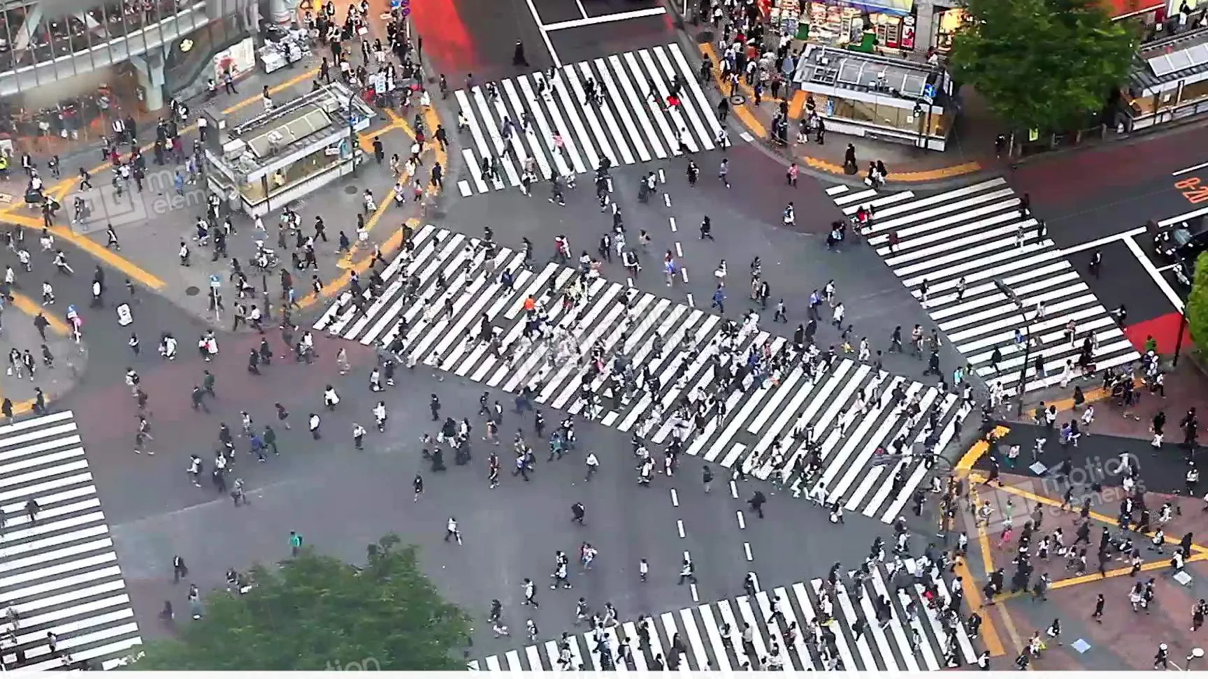 Shibuya Crossing