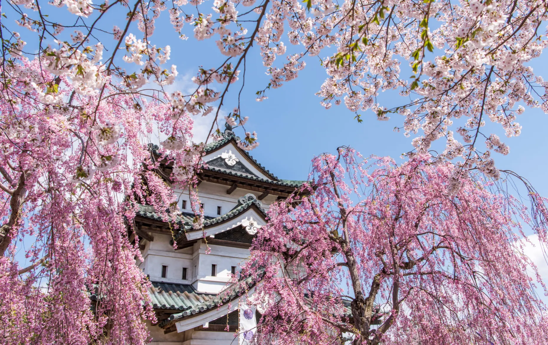 Parque Hirosaki