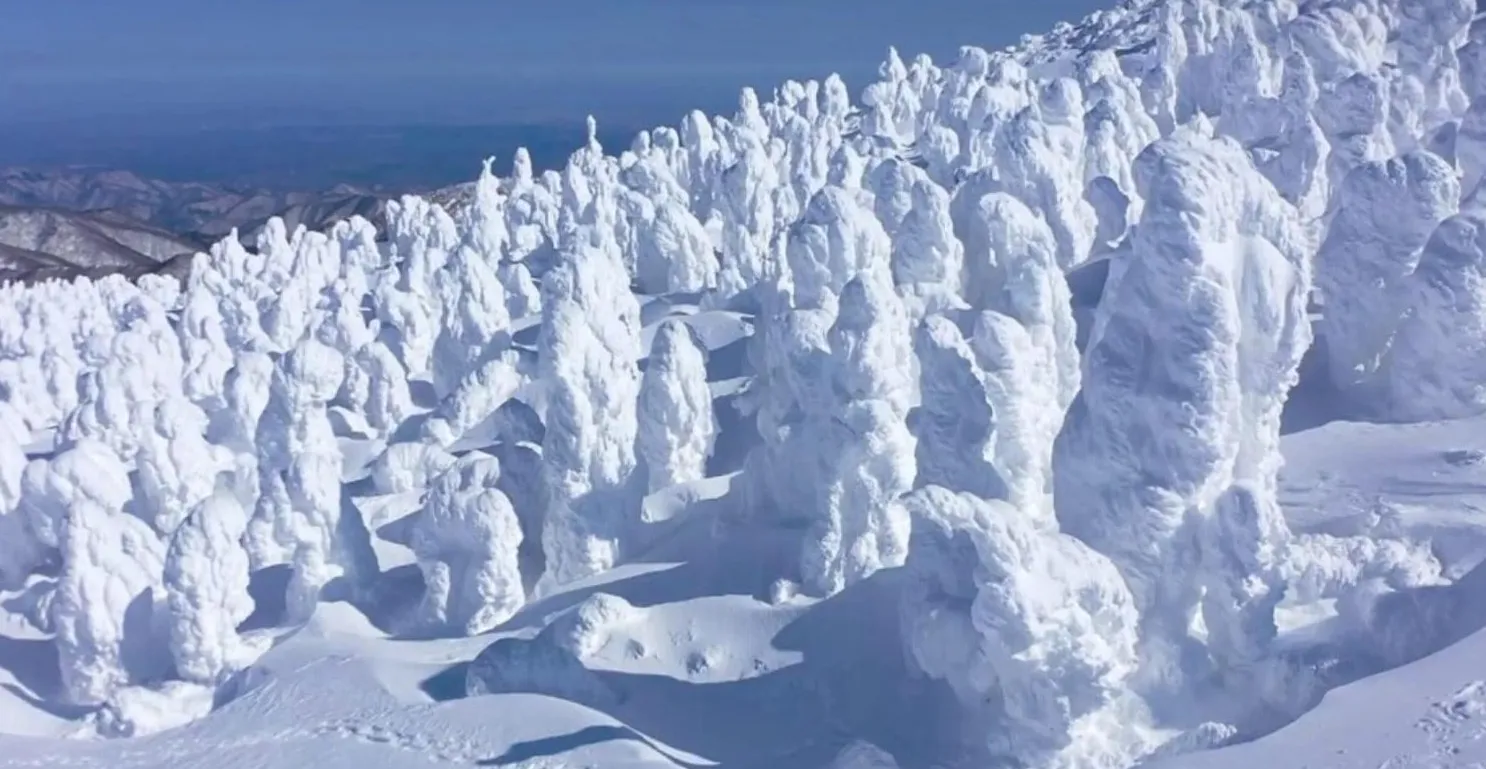 Monstruos de nieve de Zaō