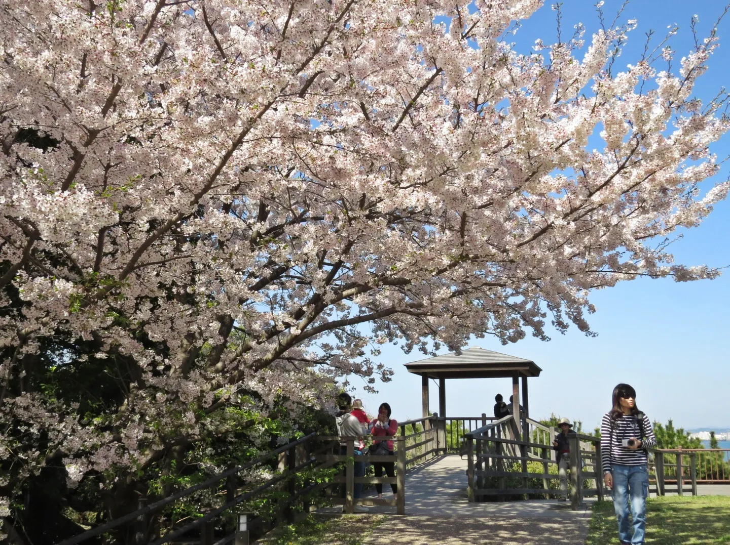 Parque de Nishi Koen