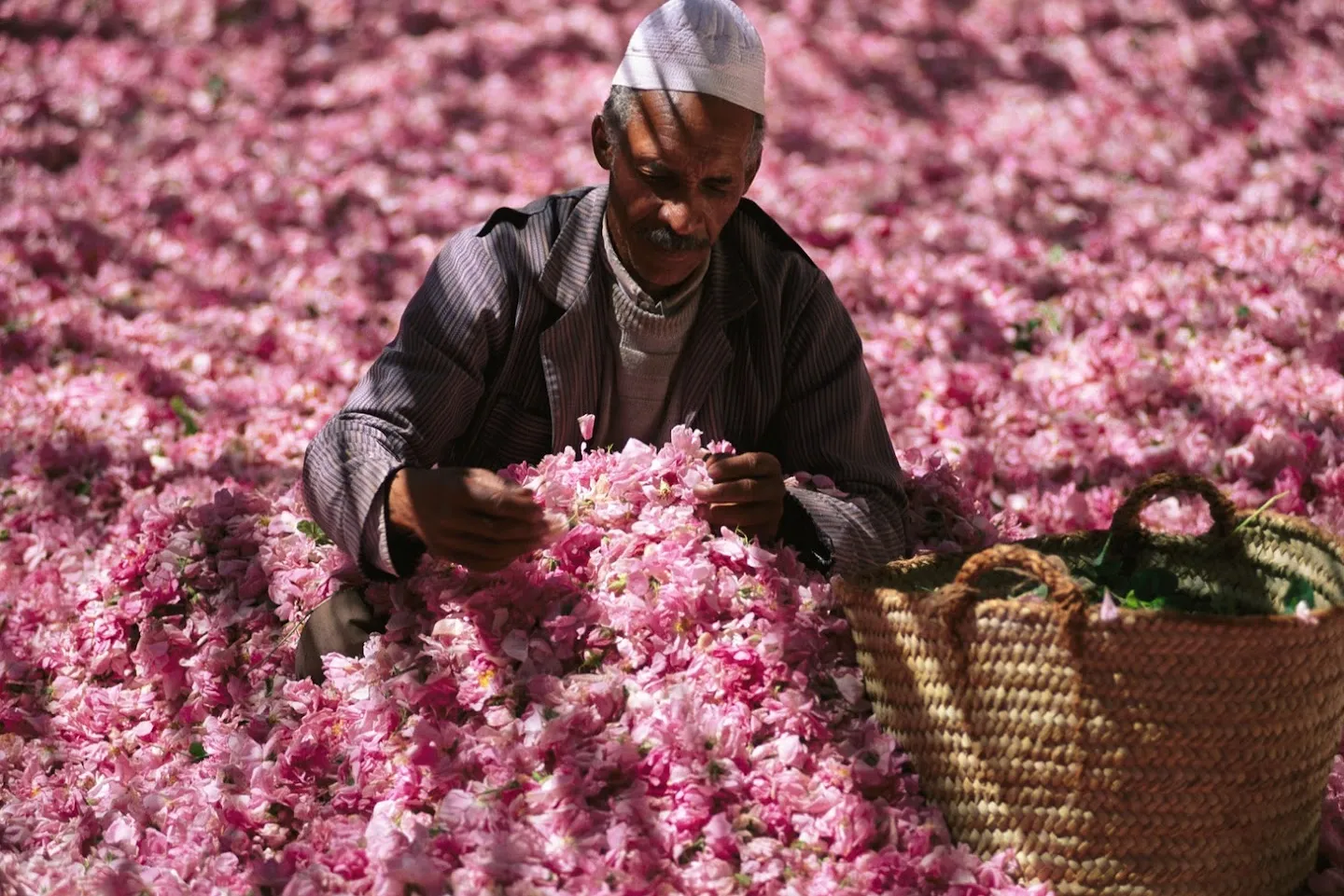 Jardín de Rosas de Kelaat M’Gouna