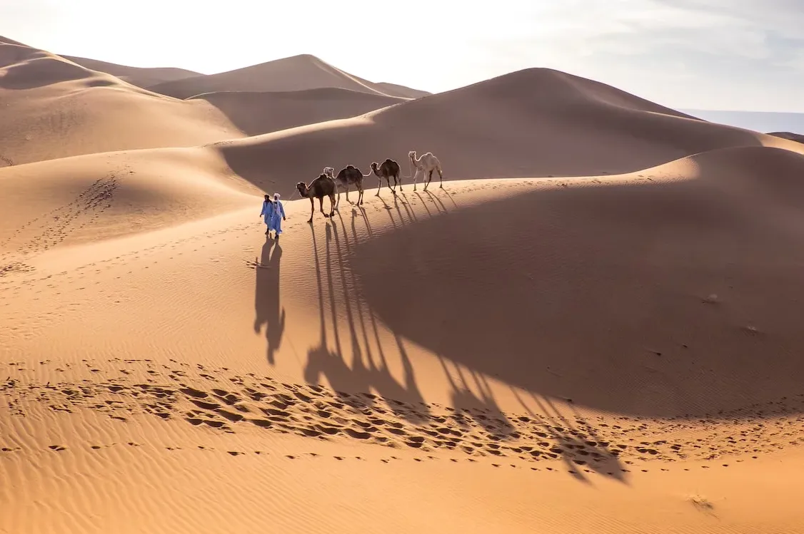 Dunas de Chegaga