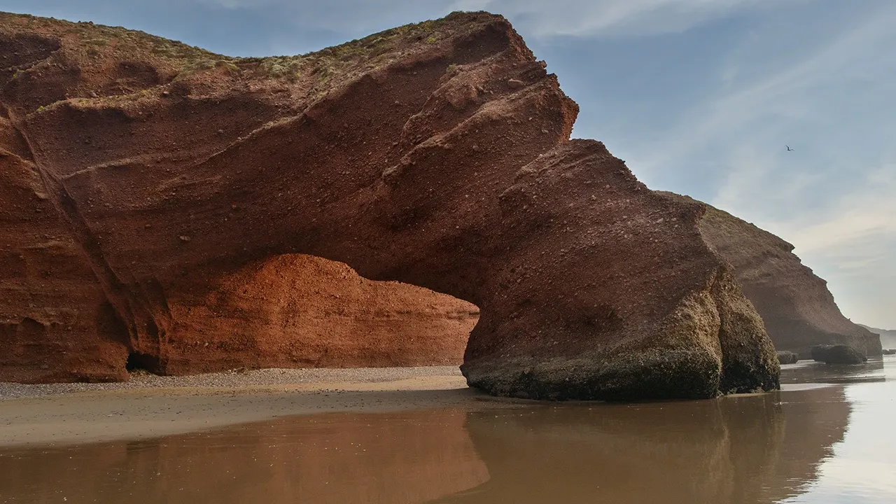 Palmeral de Asrir