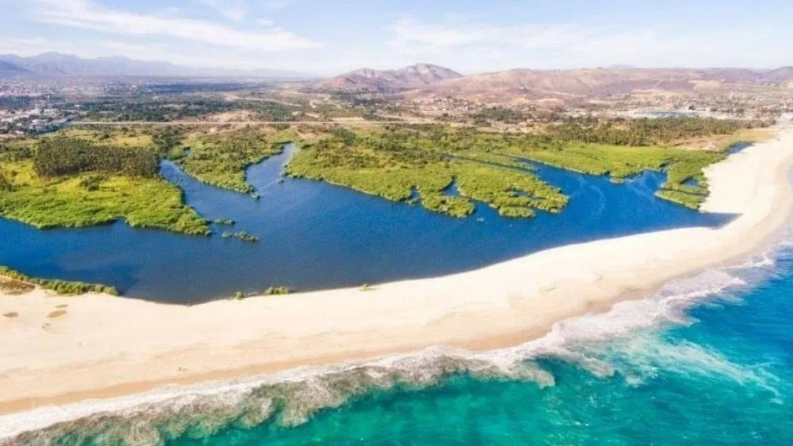 Estuario San José del Cabo