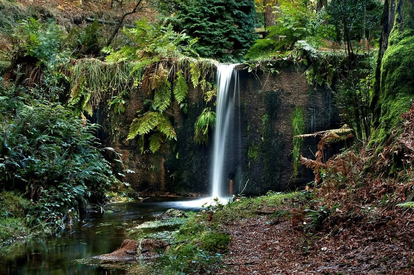 Reserva de Monte Alto