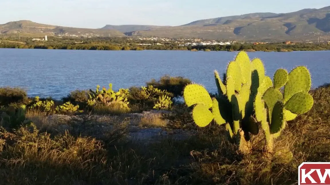 Presa Ignacio Allende