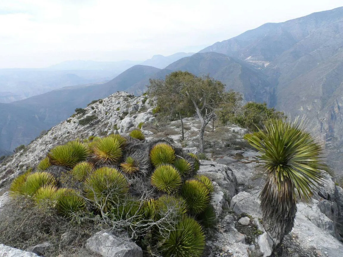 Parque Nacional Los Mármoles