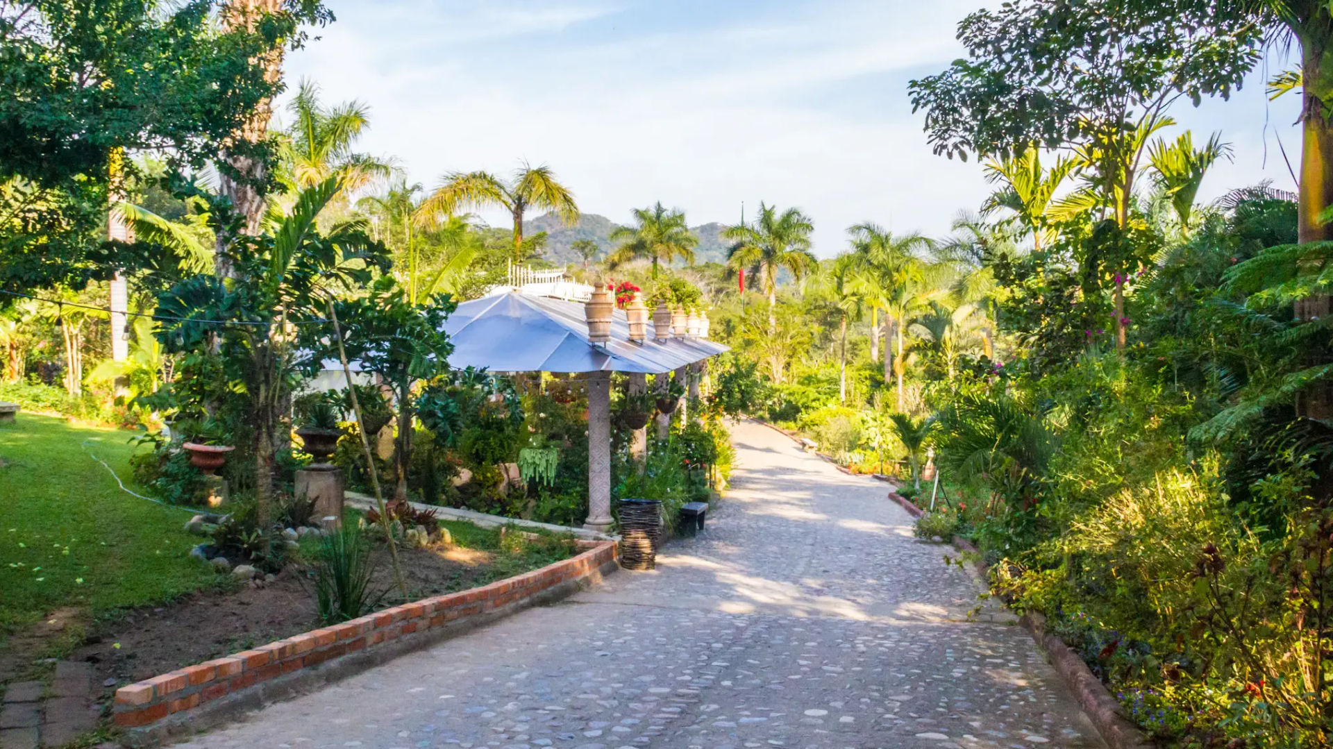 Jardines Botánicos de Vallarta