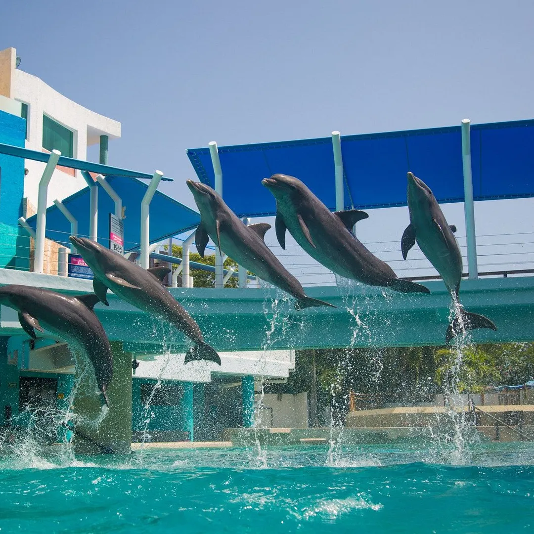 Acuario Interactivo Cancún