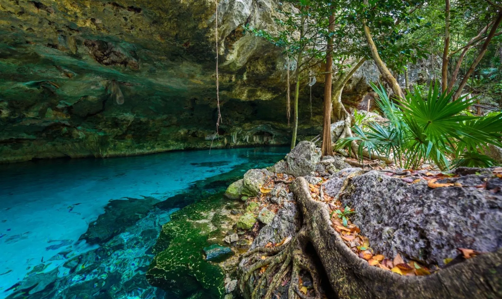 Cenote Dos Ojos