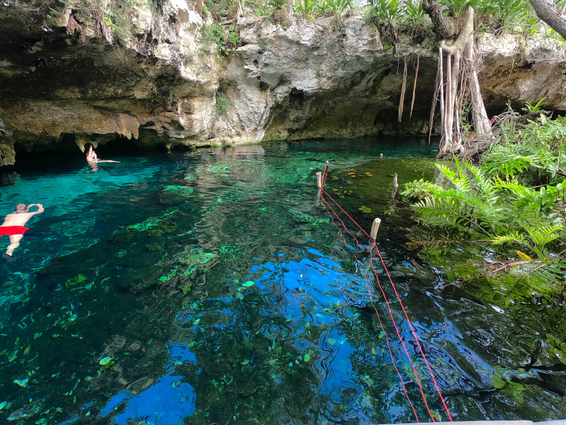 Gran Cenote