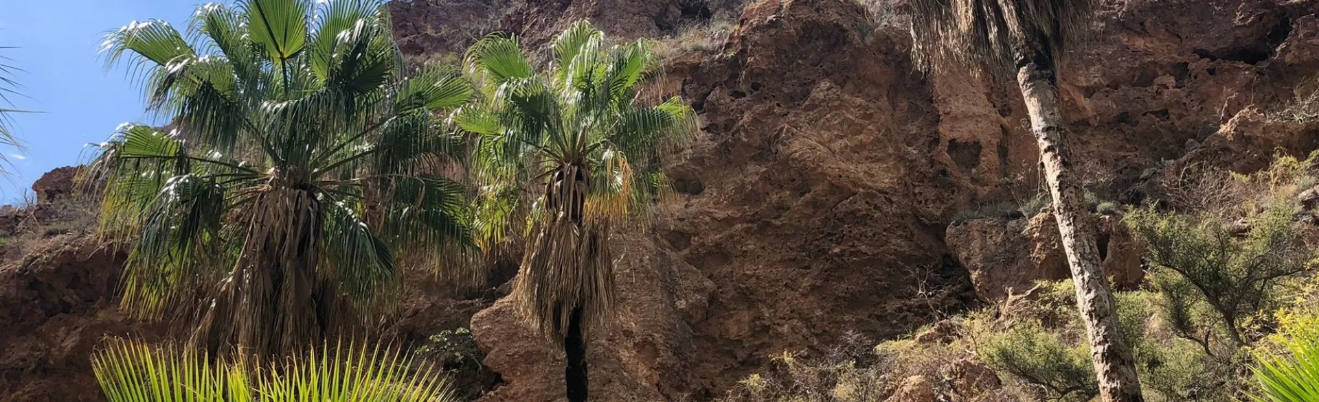 Cañón Nacapule