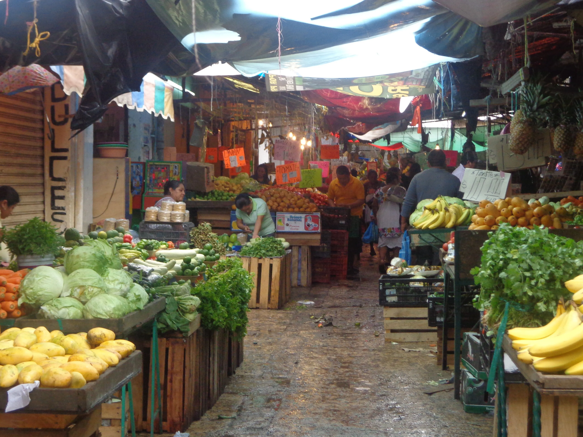 Mercado Lucas de Gálvez