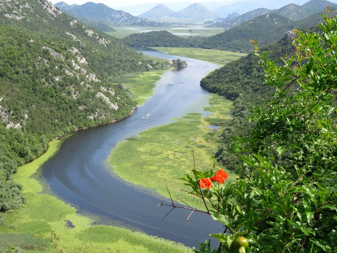 Río Crnojevića