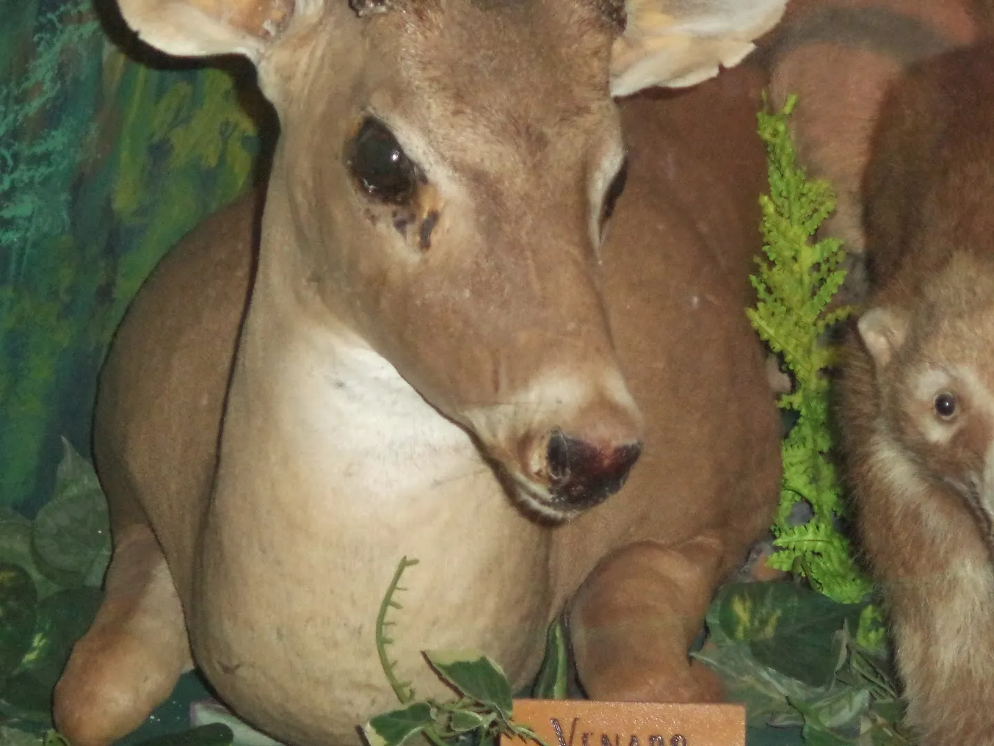 Museo Ecológico y Tradicional