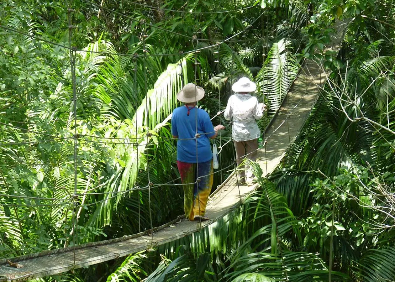 Reserva Biológica Indio Maíz