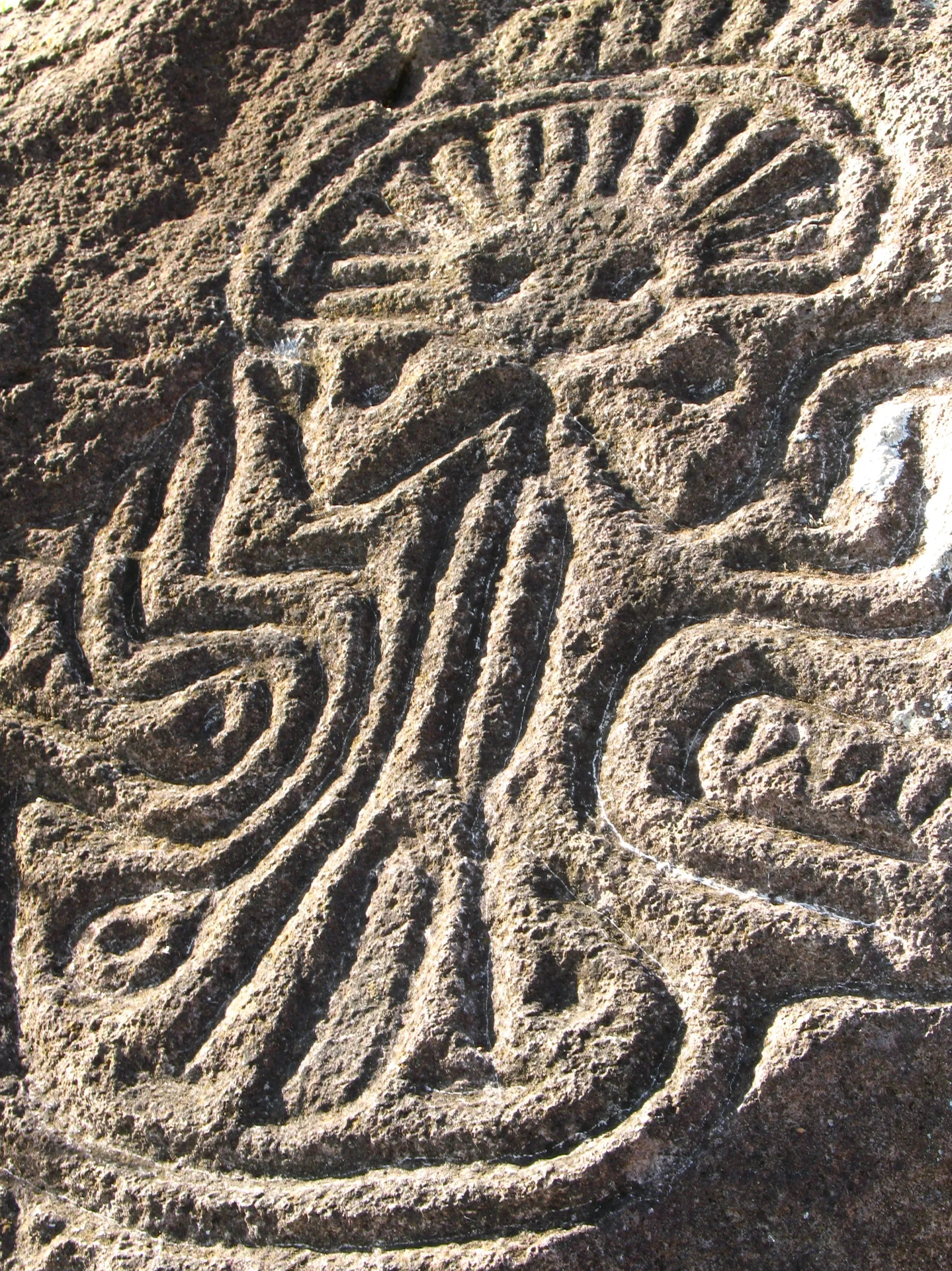 Petroglyphs of Ometepe