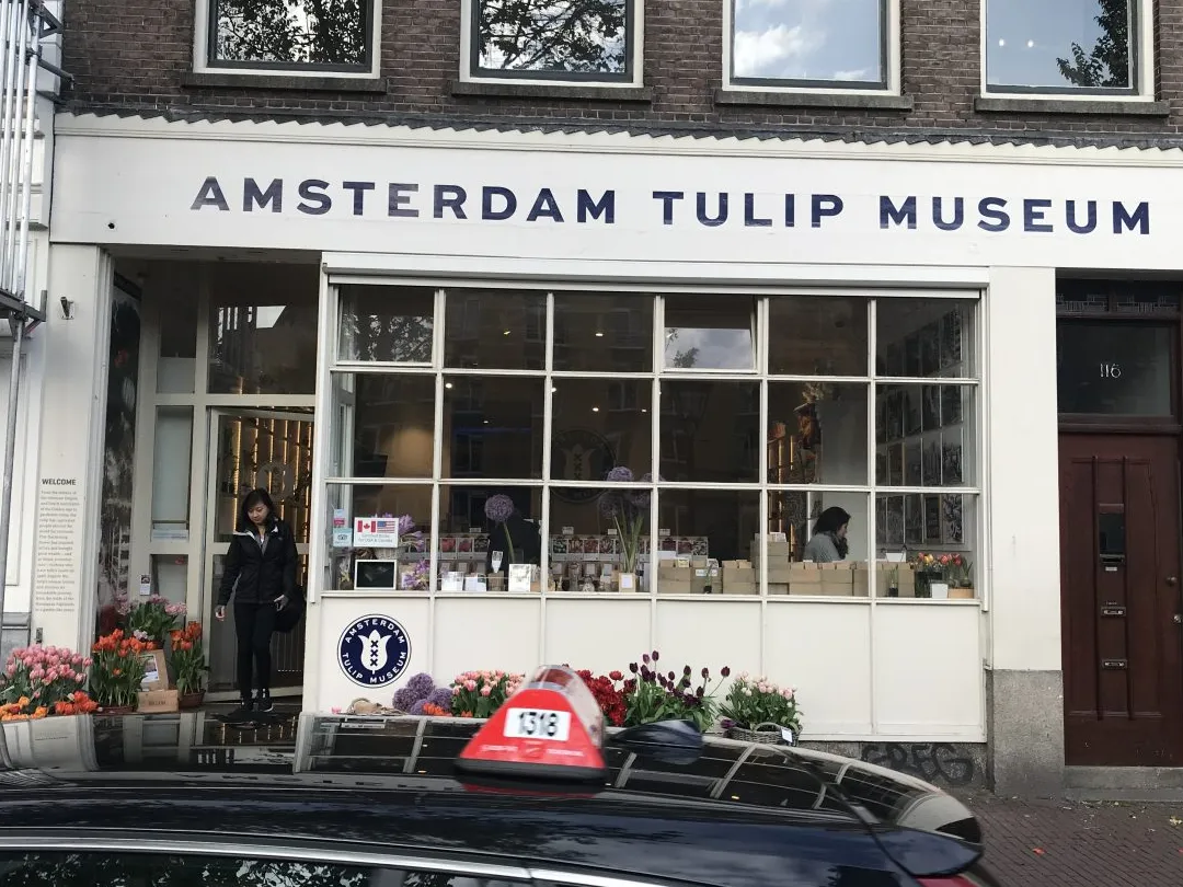 Museo del tulipán negro