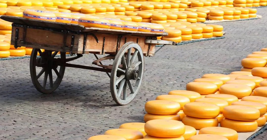 Museo del queso holandés