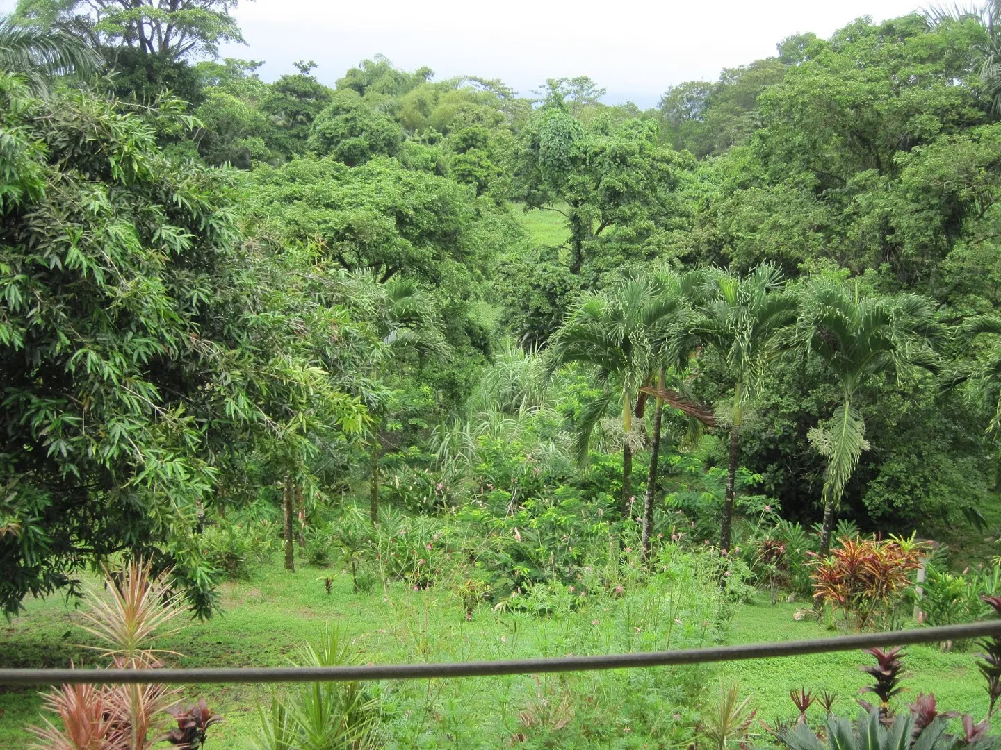 Finca Los Monos Botanical Garden