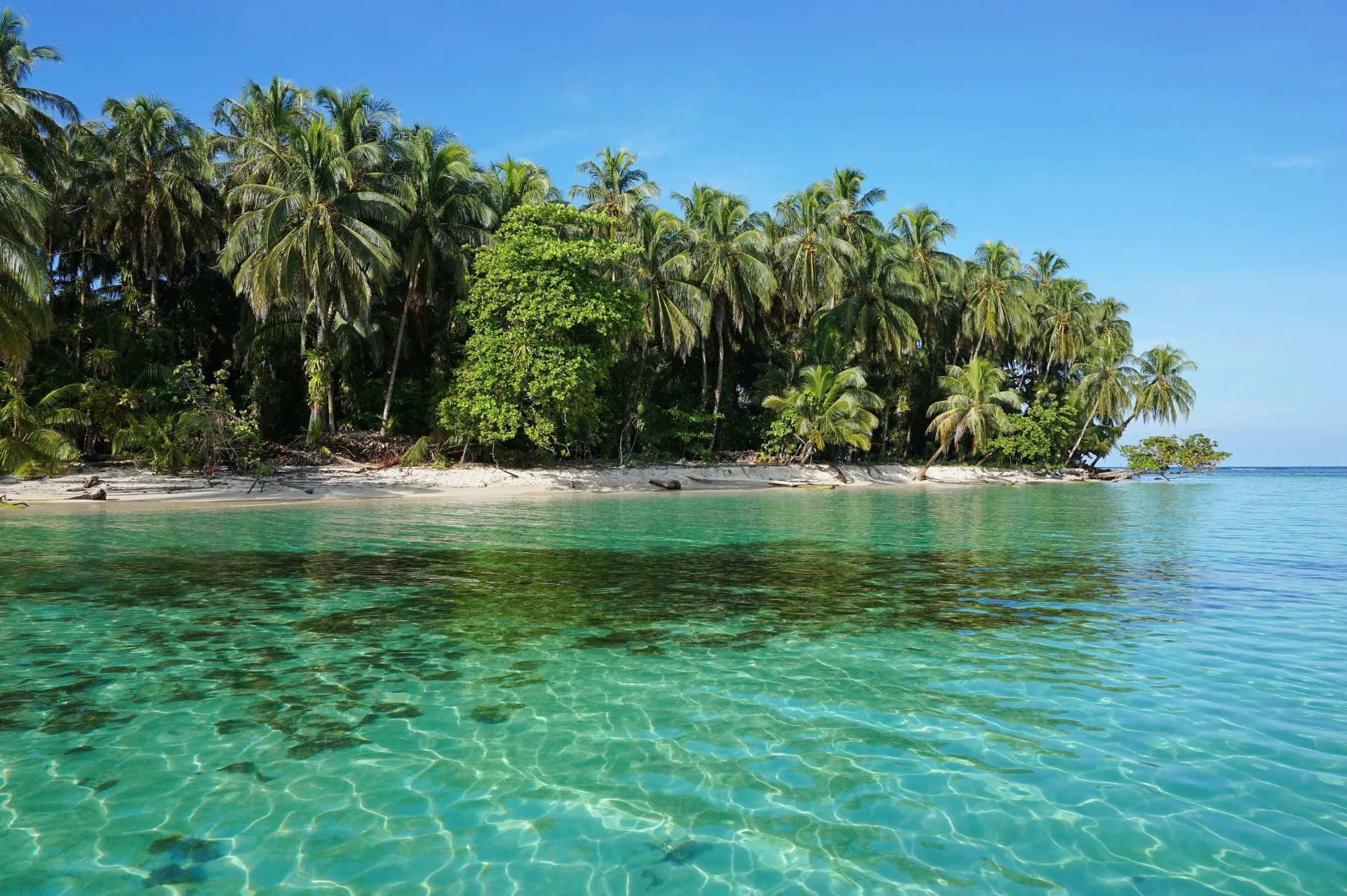 Bahía de los Delfines