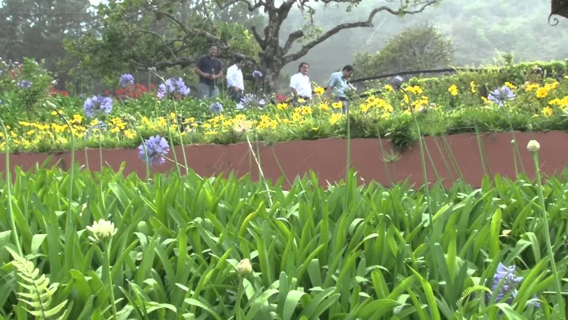 Mi Jardín es Su Jardín