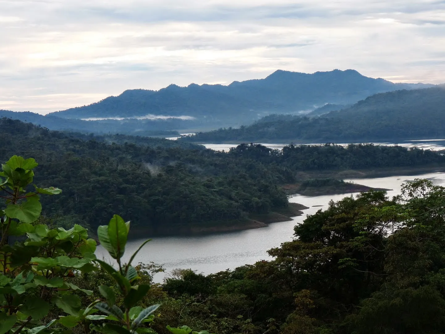 Reserva Forestal La Fortuna