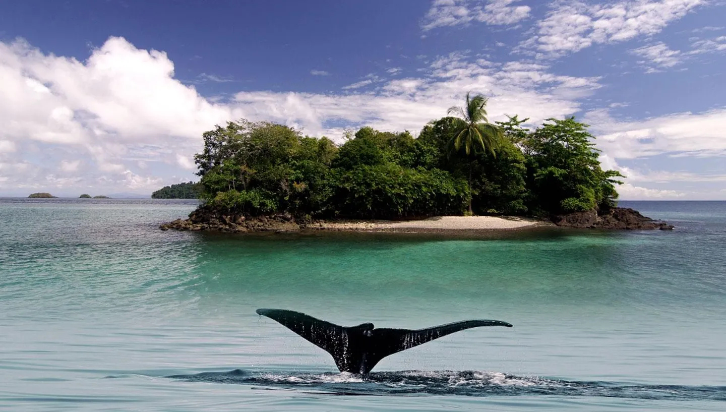 Parque Nacional Marino Golfo de Chiriquí