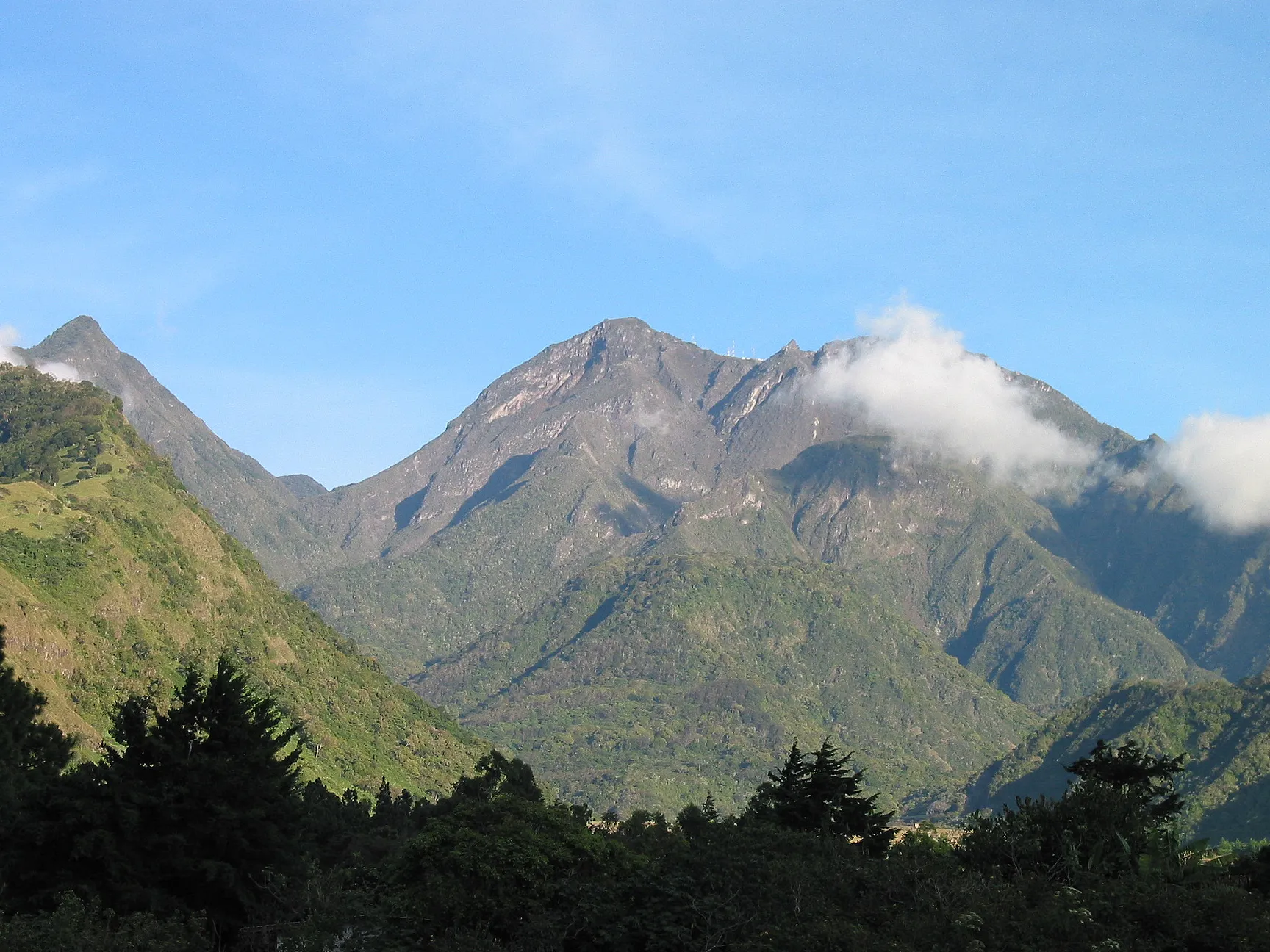 Cafetería Kotowa