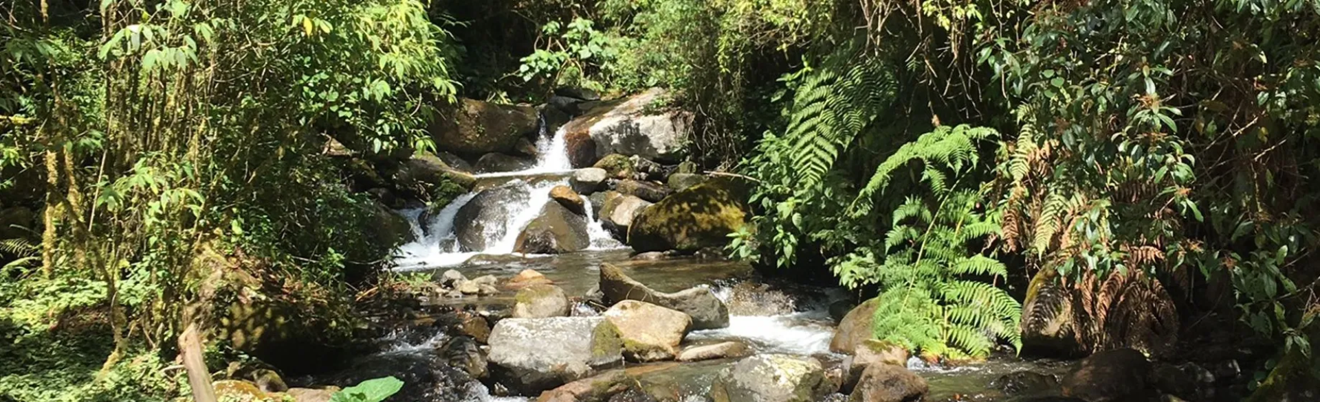 Sendero Los Quetzales