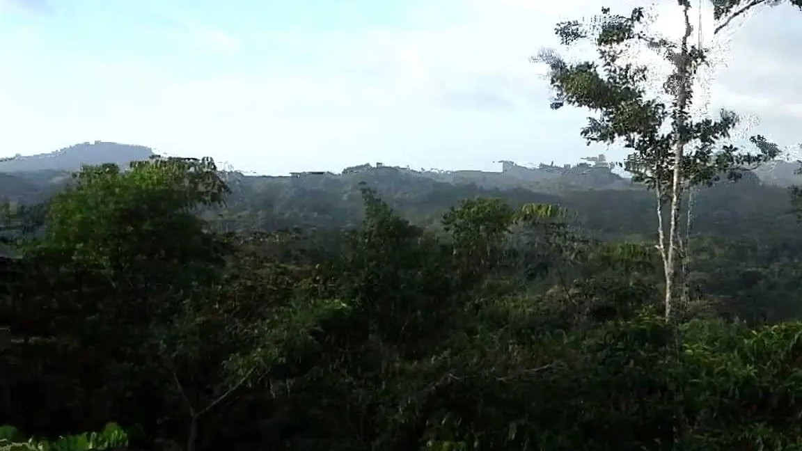 Cerro La Vieja