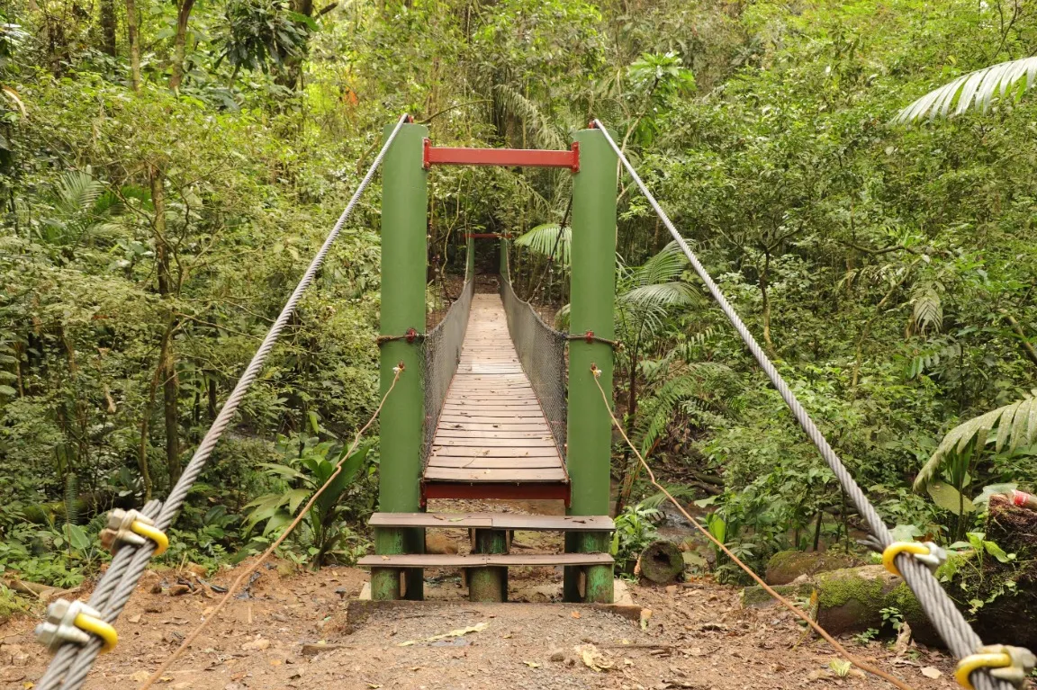 Sendero El Charco