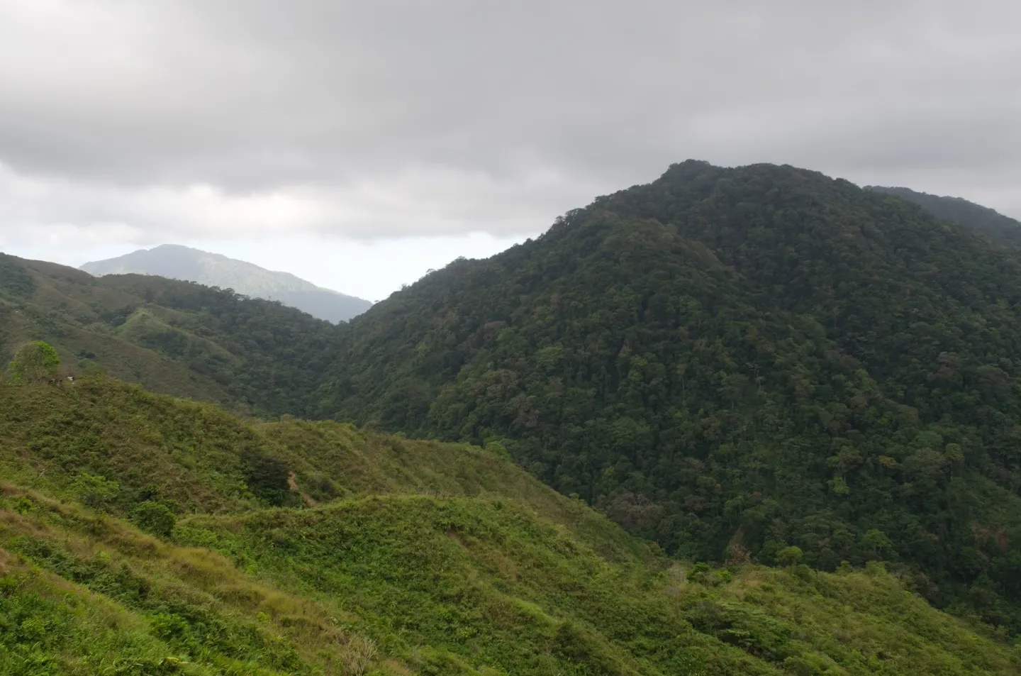 Cerro Cambutal