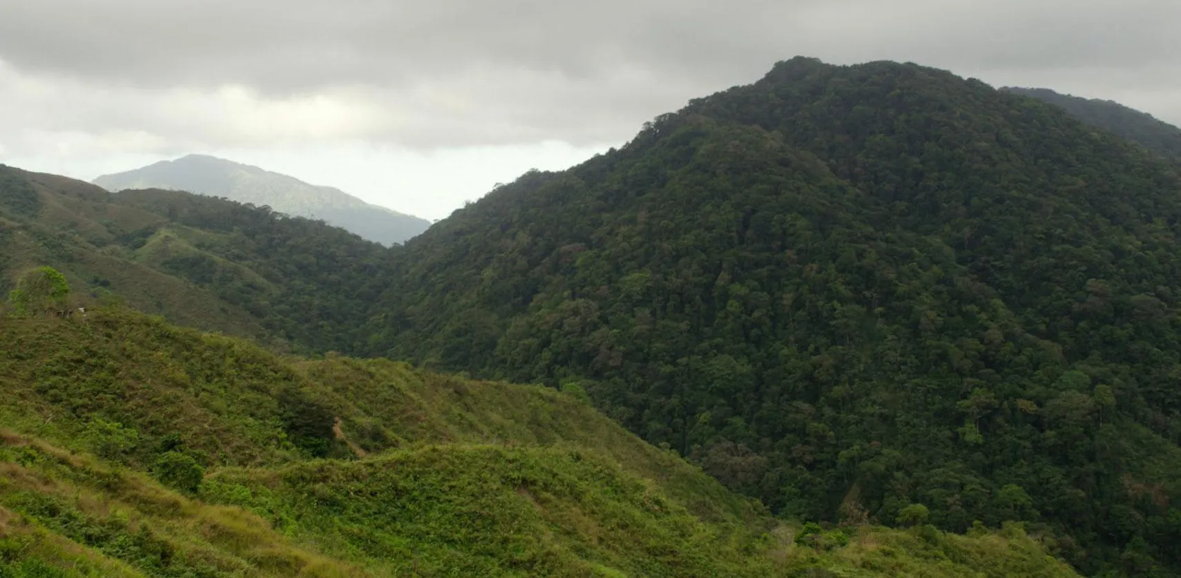 Parque Nacional Cerro Hoya