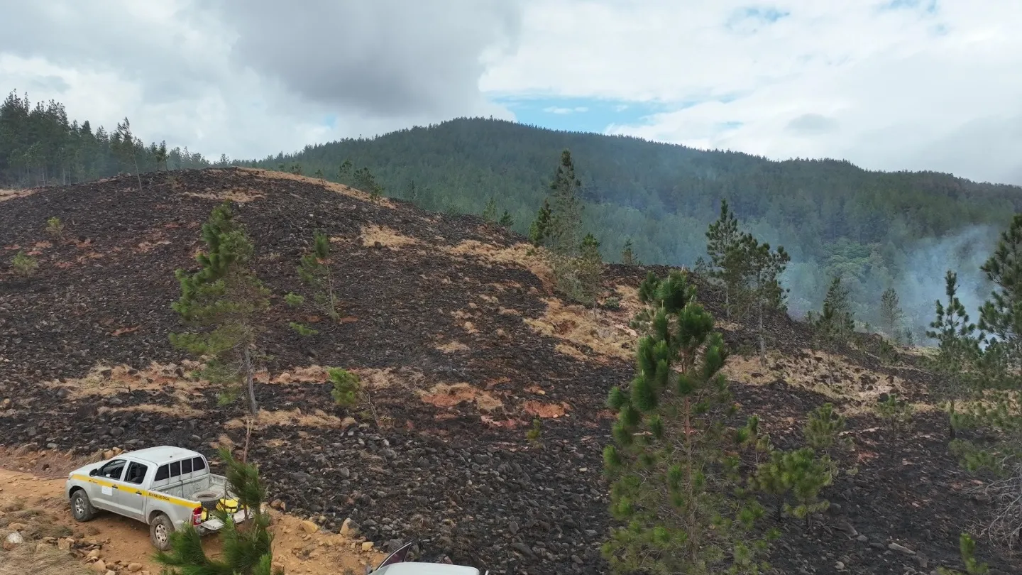 Reserva Forestal El Guaico