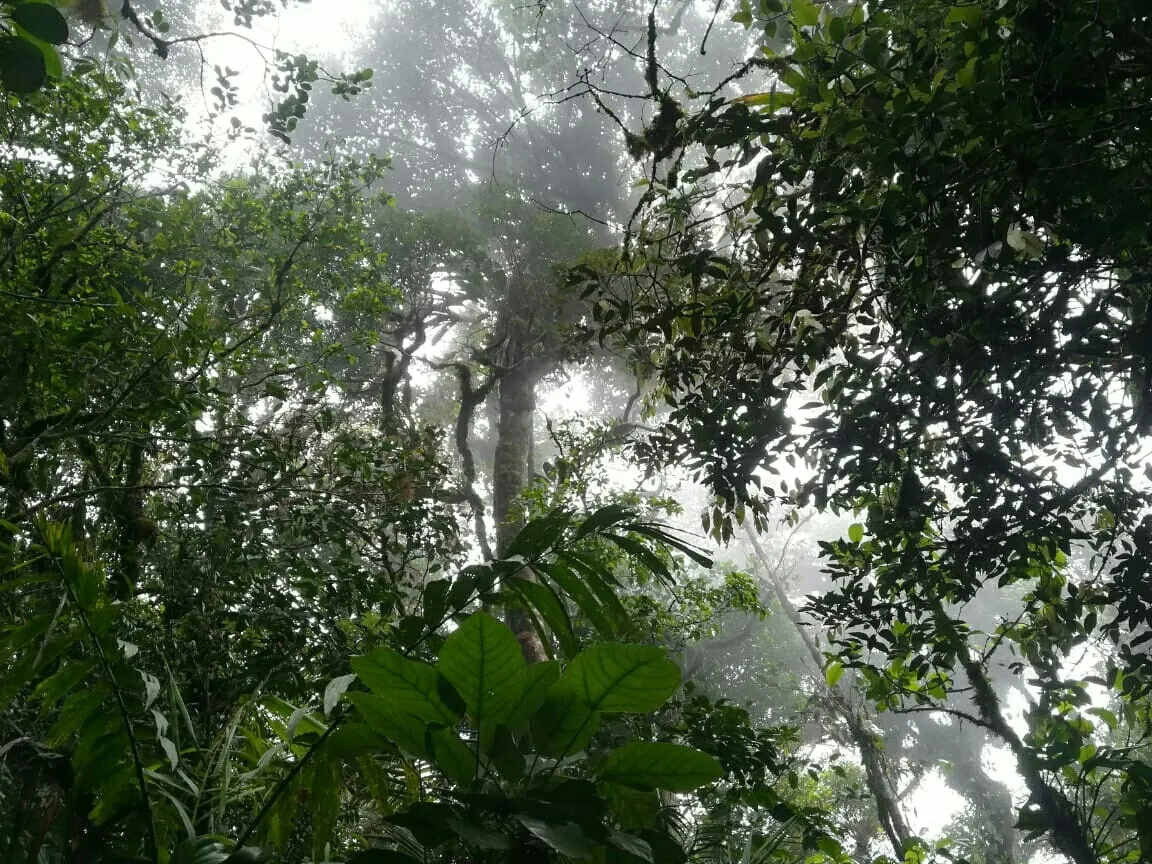 Cerro Mariposa