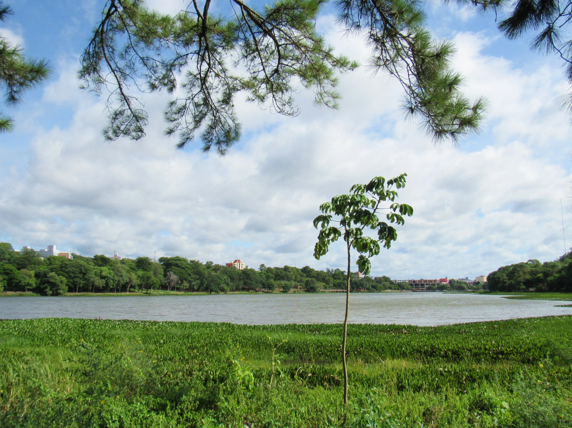 Lago de la República