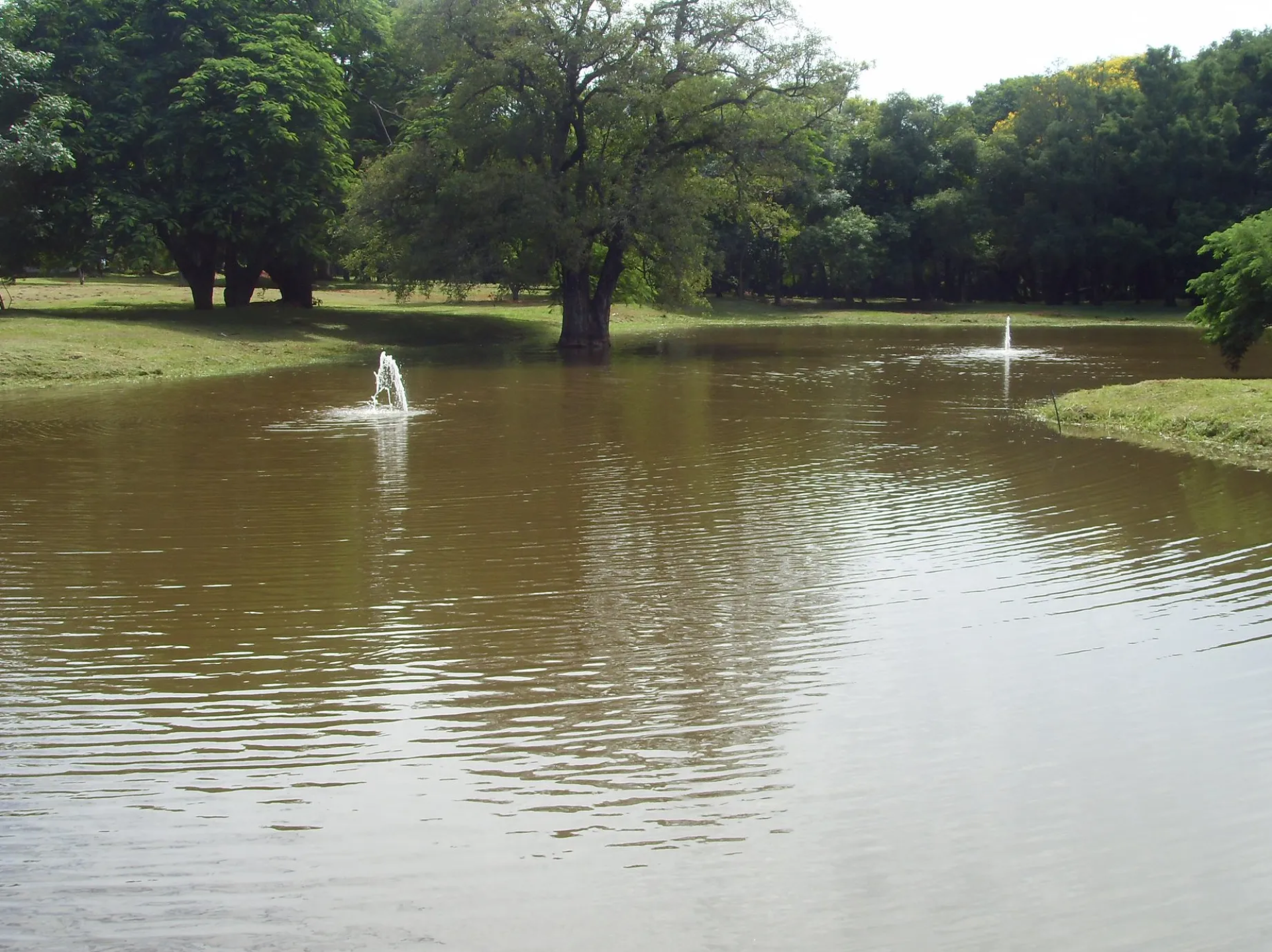 Parque Zoológico y Jardín Botánico de Asunción